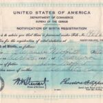 Birth Certificate of Elizabeth Moffit, Daughter of John MoffiT and Elizabeth Vesper Moffit Baby__Elizabeth_Moffit