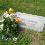 Harvey_Devigne_Stone