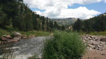Along a trail in Rocky Mountain National Park colorado20150717