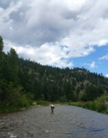 Fishing along the Big Thompson colorado20150723