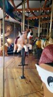 Carousal of Happiness, Nederland, CO colorado20150735