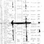 Emil S. Reinhardt arrived in the United States at the Port of Baltimore, Maryland in July 1862; he was Number 47 on the passenger list of the Bark Copernicus out of Bremen. copernicus1862-4
