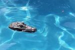 The Pool Croc croc20150501