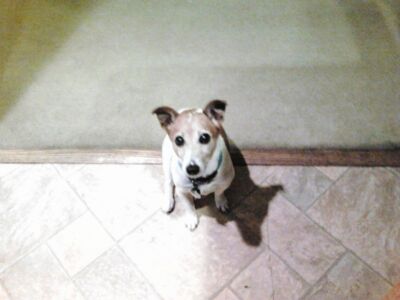 I'm watching you!! The Stalker