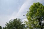 World War II Victory Capitol Flyover planes20150501