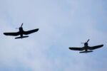World War II Victory Capitol Flyover planes20150510