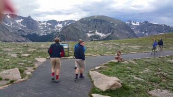Along a trail in Rocky Mountain National Park tundra20150702