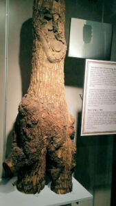 Heinz History Center Civil War Relic