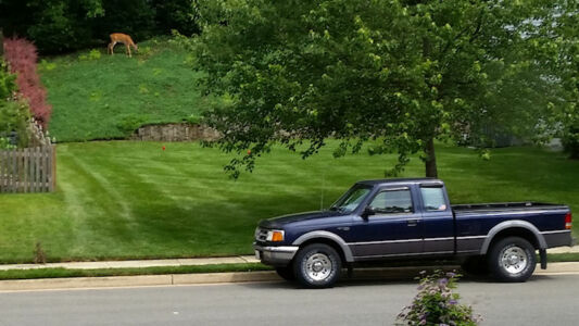 Good truck, too bad Ford quit making them.