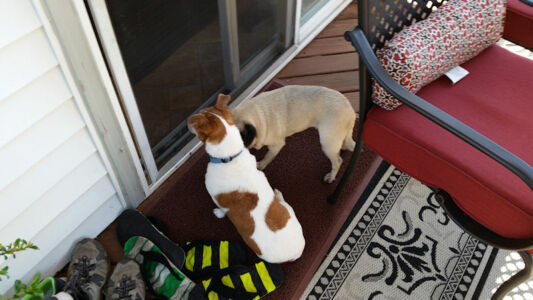 On the outside looking in.