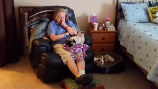 Granny, Toby and Piggy
