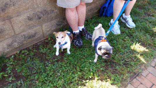Leesburg Fourth of July Parade