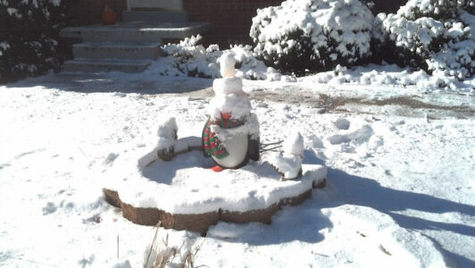 Who's that sitting on Granny's penguin?