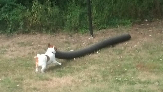 Ball's still in there