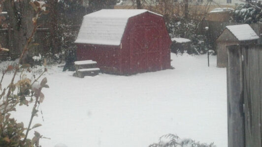 Guess Punxy Phil was right. March 25th and it's still snowing