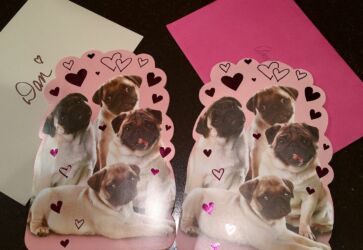 Happy PuginTines Day