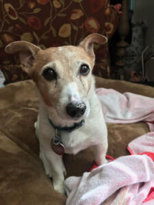 See you next month!!