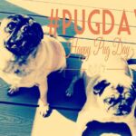 October 15th - Happy Pug Day from Toby & Baby
