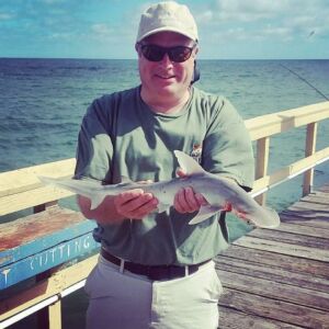 We're going to need a bigger boat