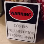 Santa left this for Toby