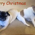 That's all there is my friends