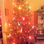 Front Room - the real tree