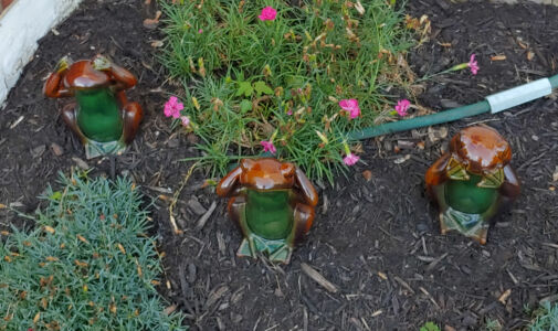 See no evil, hear no evil, speak no evil