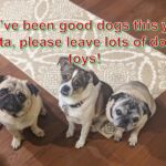 Cosmo, Winnie & Toby