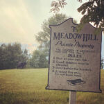 Meadow Hill Farm