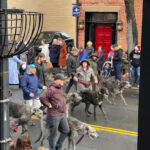 Annual Scottish Christmas Walk Parade