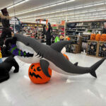 Get it right! I'm supposed to jump you!