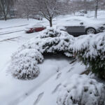 Happy Birthday Pop-Pop