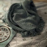 Find the dog in this picture